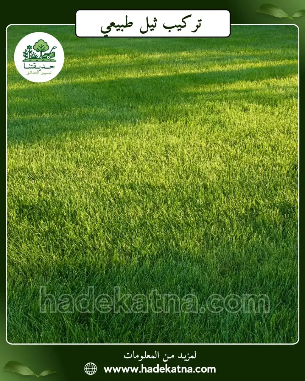 تركيب ثيل طبيعي في خيطان