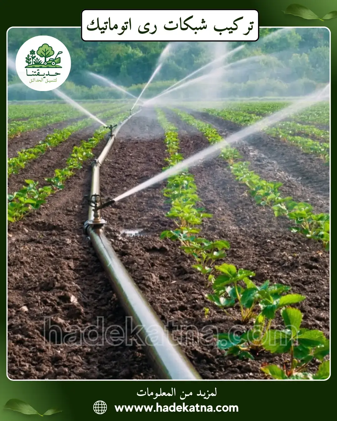 شركة تركيب شبكات ري اتوماتيك بالكويت