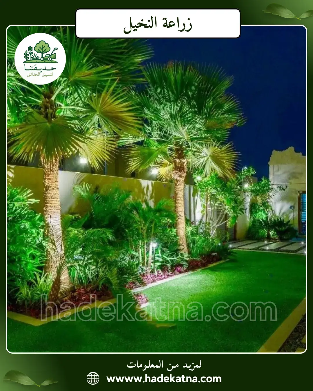 زراعة أشجار نخيل وفاكهة بالكويت خدمة زراعية احترافية للفلل والمزارع